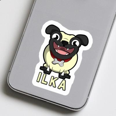 Mops Aufkleber Ilka Laptop Mops Aufkleber Ilka Laptop Image