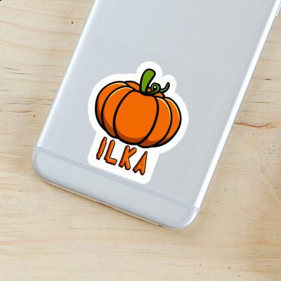 Sticker Pumpkin Ilka Notebook Sticker Pumpkin Ilka Notebook Image