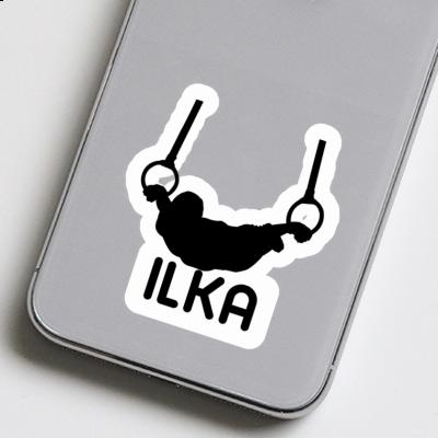 Aufkleber Ilka Ringturner Notebook Aufkleber Ilka Ringturner Notebook Image