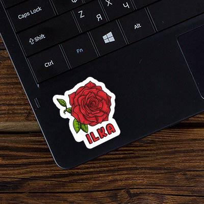 Autocollant Fleur de rose Ilka Notebook Autocollant Fleur de rose Ilka Gift package Image