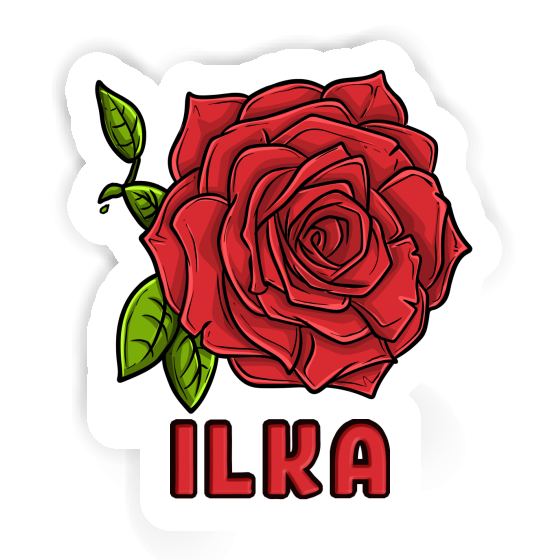 Ilka Sticker Rose Ilka Sticker Rose Image