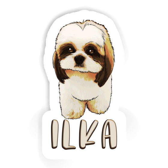Ilka Aufkleber Shih Tzu Notebook Ilka Aufkleber Shih Tzu Notebook Image