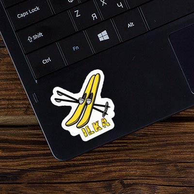 Ilka Aufkleber Ski Laptop Image