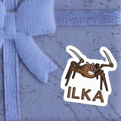 Spider Sticker Ilka Notebook Spider Sticker Ilka Gift package Image