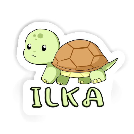 Autocollant Tortue Ilka Notebook Autocollant Tortue Ilka Gift package Image