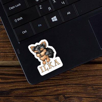 Aufkleber Terrier Ilka Notebook Aufkleber Terrier Ilka Gift package Image