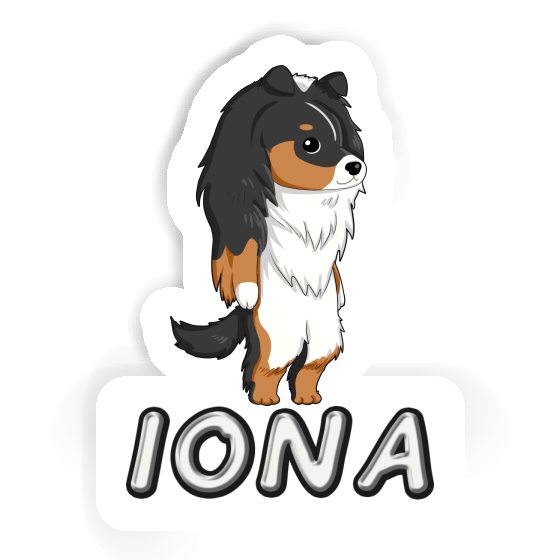 Sticker Iona Shetland Sheepdog Gift package Image
