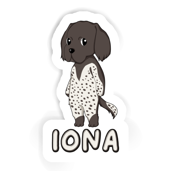 Sticker Kleiner Münsterländer Iona Notebook Sticker Kleiner Münsterländer Iona Gift package Image