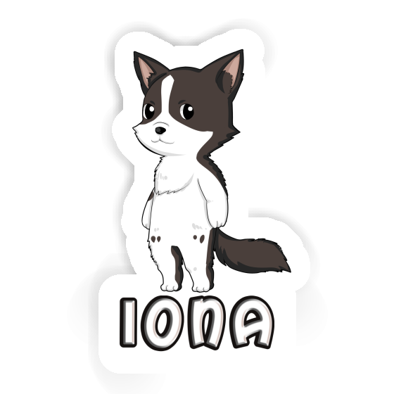Border Collie Aufkleber Iona Laptop Border Collie Aufkleber Iona Laptop Image