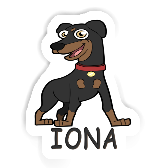 Iona Aufkleber Pinscher Notebook Iona Aufkleber Pinscher Gift package Image