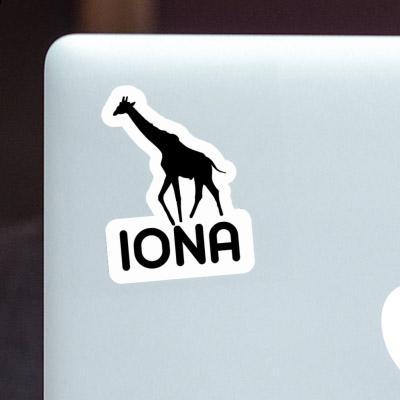 Iona Autocollant Girafe Gift package Image