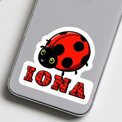 Autocollant Iona Coccinelle Gift package Image