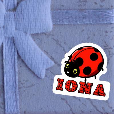 Autocollant Iona Coccinelle Image