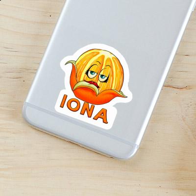Orange Autocollant Iona Notebook Orange Autocollant Iona Gift package Image
