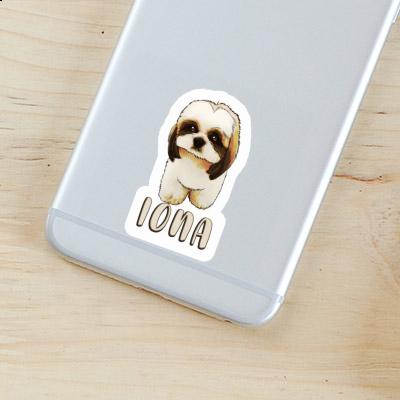 Shih Tzu Aufkleber Iona Gift package Image