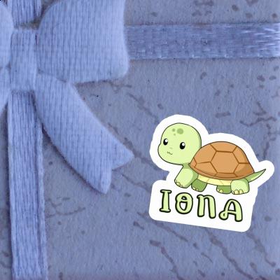 Autocollant Tortue Iona Image