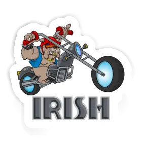 Autocollant Chien Irish Image