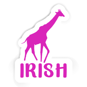 Girafe Autocollant Irish Image