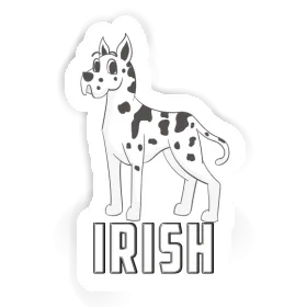 Autocollant Irish Grand Danois Image