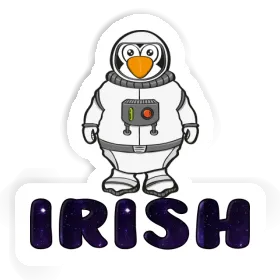 Irish Aufkleber Astronaut Image