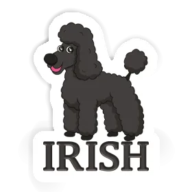 Autocollant Irish Caniche Image