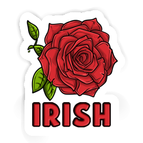 Autocollant Fleur de rose Irish Image