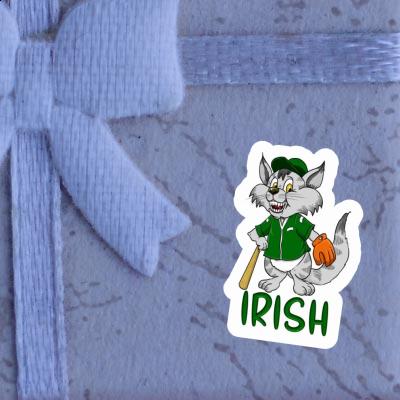Irish Sticker Cat Irish Sticker Cat Image