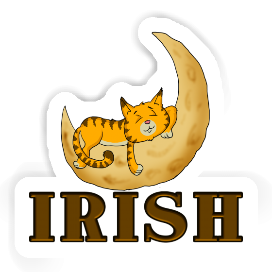 Cat Sticker Irish Notebook Cat Sticker Irish Gift package Image