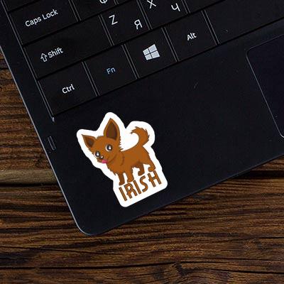 Sticker Irish Chihuahua Sticker Irish Chihuahua Image
