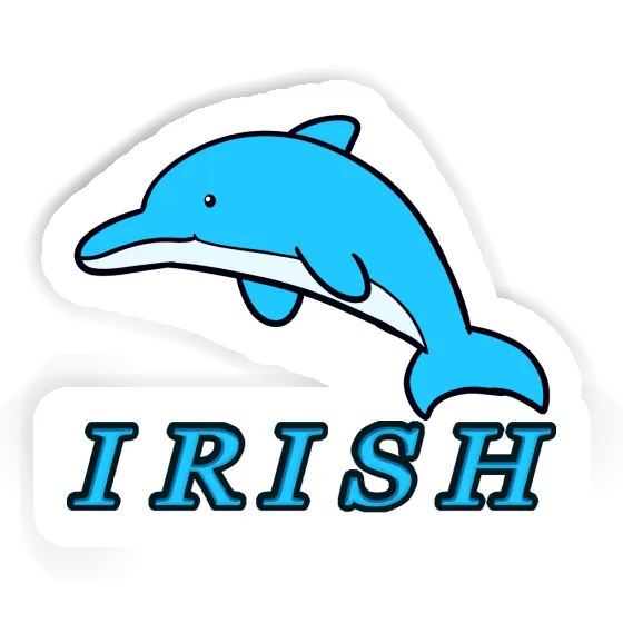 Dolphin Sticker Irish Gift package Image