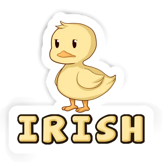 Sticker Duck Irish Notebook Sticker Duck Irish Gift package Image