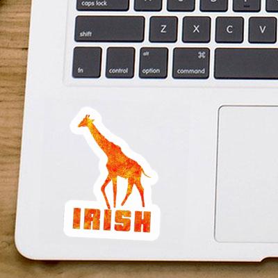 Autocollant Girafe Irish Notebook Autocollant Girafe Irish Gift package Image