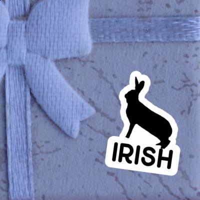 Irish Sticker Hase Notebook Irish Sticker Hase Gift package Image