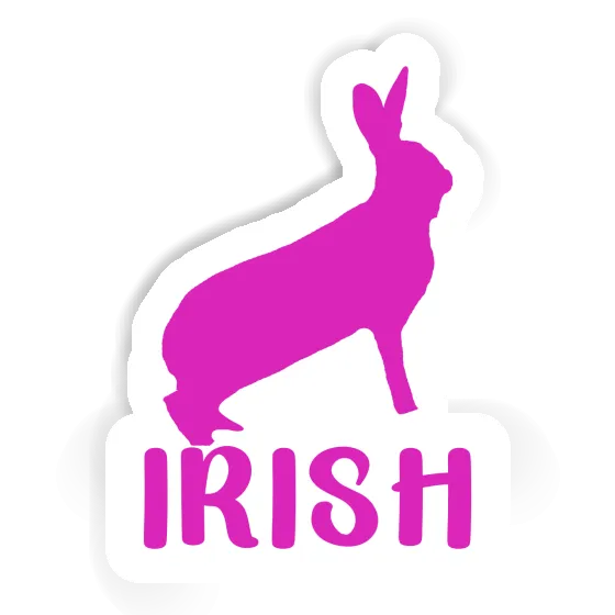 Rabbit Sticker Irish Notebook Rabbit Sticker Irish Gift package Image