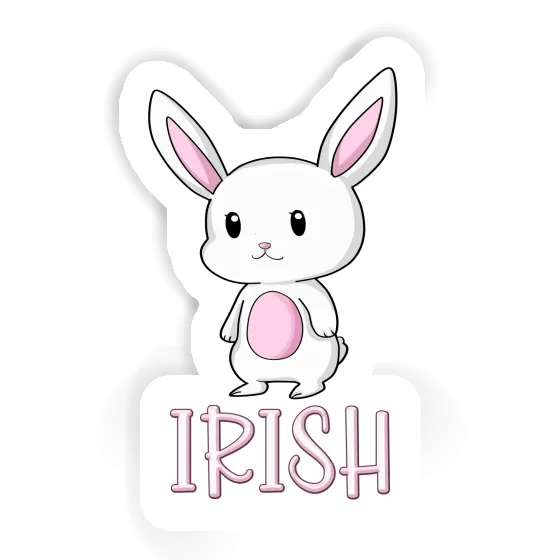 Irish Sticker Hare Notebook Irish Sticker Hare Gift package Image