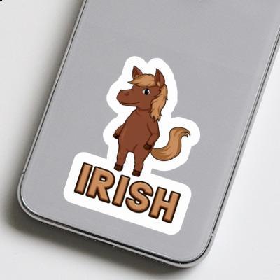 Irish Aufkleber Pferd Notebook Irish Aufkleber Pferd Gift package Image