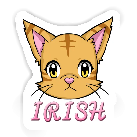 Sticker Kätzchen Irish Gift package Image
