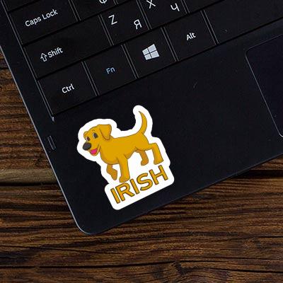 Irish Sticker Labrador Laptop Irish Sticker Labrador Laptop Image