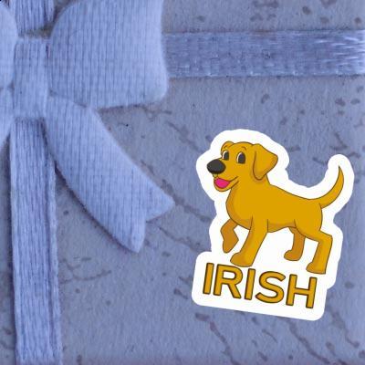 Irish Sticker Labrador Irish Sticker Labrador Image