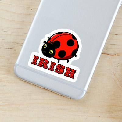 Irish Sticker Marienkäfer Irish Sticker Marienkäfer Image
