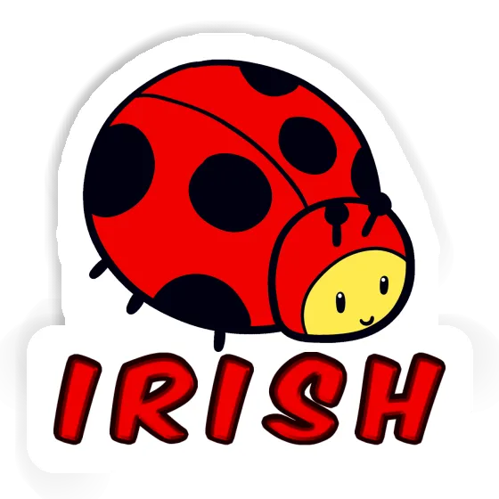 Coccinelle Autocollant Irish Notebook Coccinelle Autocollant Irish Gift package Image