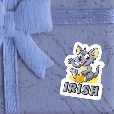 Maus Aufkleber Irish Notebook Maus Aufkleber Irish Gift package Image