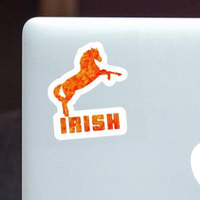 Sticker Irish Horse Notebook Sticker Irish Horse Gift package Image