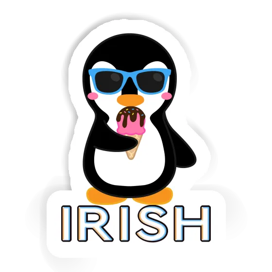 Irish Sticker Penguin Gift package Image