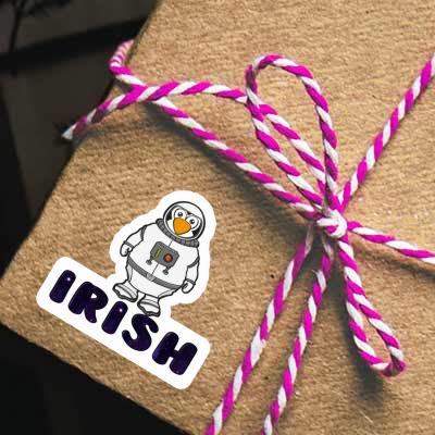 Autocollant Irish Pingouin Notebook Autocollant Irish Pingouin Gift package Image