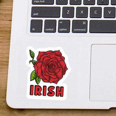 Rose Sticker Irish Notebook Rose Sticker Irish Gift package Image