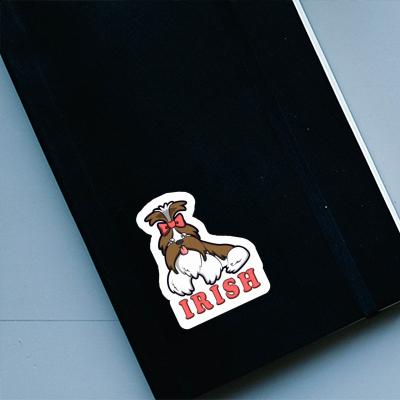 Sticker Irish Shih Tzu Notebook Sticker Irish Shih Tzu Notebook Image