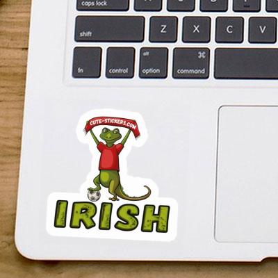 Autocollant Lézard Irish Notebook Autocollant Lézard Irish Gift package Image