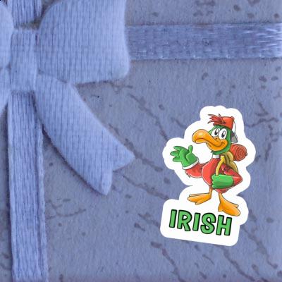 Randonneur Autocollant Irish Gift package Image