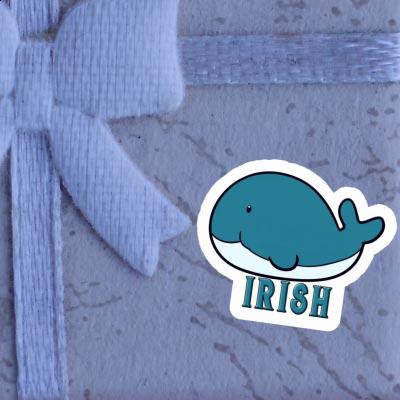 Autocollant Baleine Irish Gift package Image